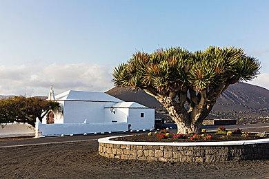 《黑相集：灰冥界》开发者日志第一期：对话提斯代尔